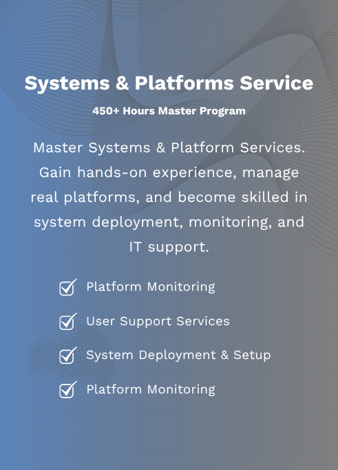Program > Systems & Platforms Service Master Program